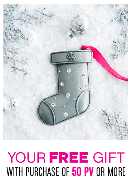Paparazzi Christmas Ornament - 2020
